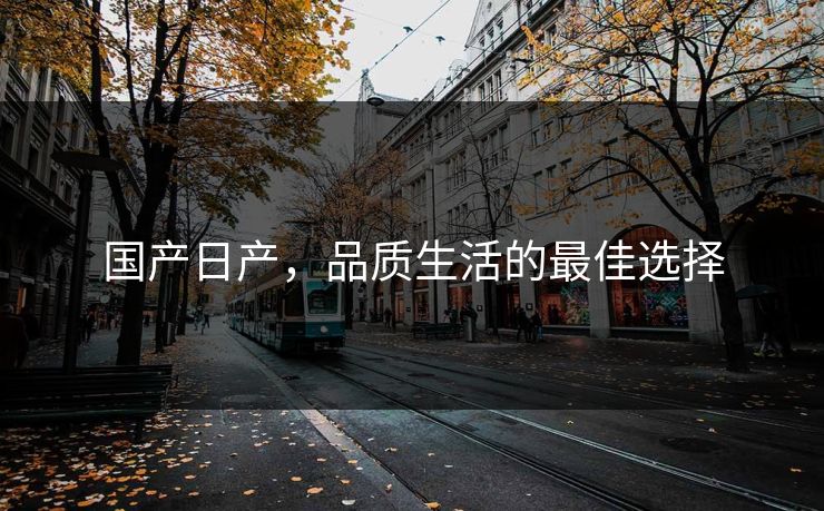 国产日产，品质生活的最佳选择